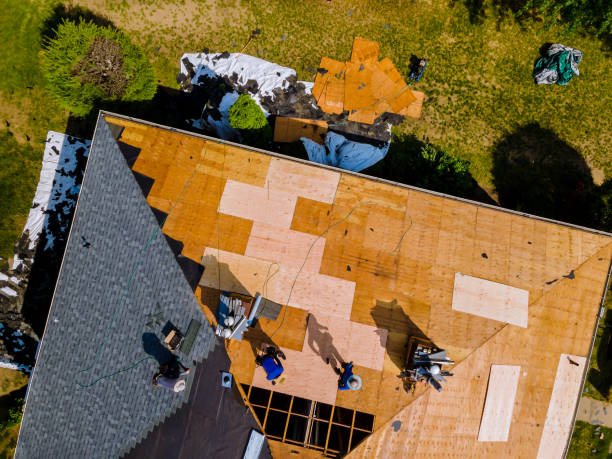 Best Roof Gutter Cleaning  in Hattiesburg, MS